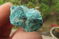 Natural Shattuckite Rough Pieces x 3.1 Kg Lot From Namibia