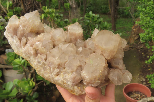 Natural Smokey Phantom Quartz Cluster x 1 From Luena, Congo