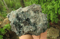 Natural Libethenite Crystals On Dolomite Matrix Specimens x 2 From Shituru, Congo