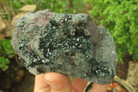 Natural Libethenite Crystals On Dolomite Matrix Specimens x 2 From Shituru, Congo