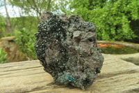 Natural Libethenite Crystals On Dolomite Matrix Specimens x 2 From Shituru, Congo