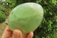 Polished Green Fluorite Standing Free Forms x 3 From Madagascar