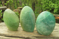 Polished Green Fluorite Standing Free Forms x 3 From Madagascar