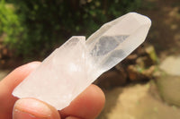 Natural Clear Quartz Crystals x 35 From Mpika, Zambia