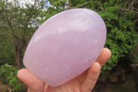 Polished Blue Rose Quartz Standing Free Forms x 2 From Madagascar