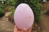 Polished Blue Rose Quartz Standing Free Forms x 2 From Madagascar