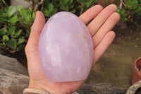 Polished Blue Rose Quartz Standing Free Forms x 2 From Madagascar