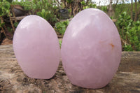 Polished Blue Rose Quartz Standing Free Forms x 2 From Madagascar