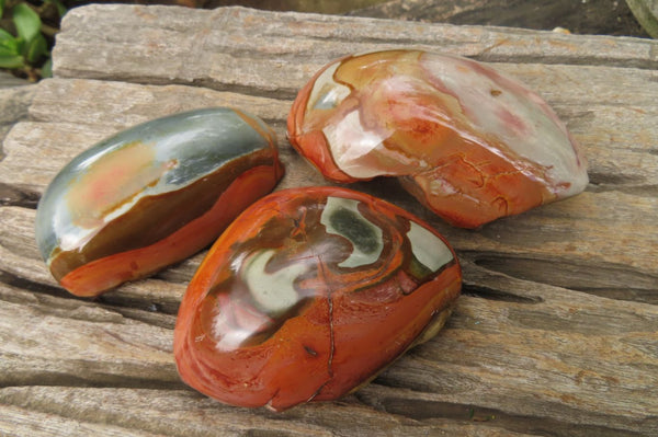 Polished On One Side Polychrome Jasper Nodules x 6 From Mahajanga, Madagascar