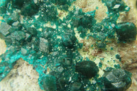 Natural Dioptase On Dolomite Specimen x 1 From Likasi, Congo