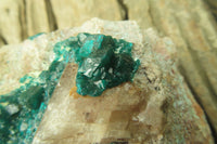 Natural Dioptase On Dolomite Specimen x 1 From Likasi, Congo