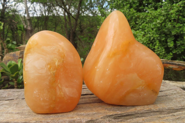 Polished Orange Twist Calcite Standing Free Forms x 2 From Madagascar