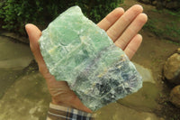 Natural Watermelon Fluorite Cobbed Specimens x 2 From Uis, Namibia