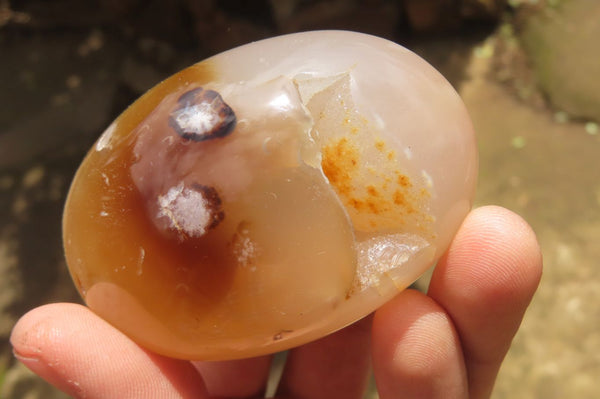 Polished Flower Agate Palm Stones x 12 From Antsahalova, Madagascar