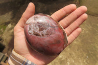 Polished Red Podocarpus Petrified Wood Standing Free Forms x 3 From Madagascar