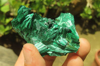 Natural Silky Malachite Specimens x 12 From Kasompe, Congo