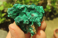 Natural Silky Malachite Specimens x 12 From Kasompe, Congo