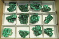 Natural Silky Malachite Specimens x 12 From Kasompe, Congo