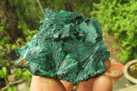 Natural Silky Malachite Specimens x 12 From Kasompe, Congo