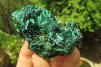 Natural Silky Malachite Specimens x 12 From Kasompe, Congo