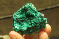 Natural Silky Malachite Specimens x 12 From Kasompe, Congo