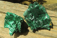 Natural Silky Malachite Specimens x 12 From Kasompe, Congo