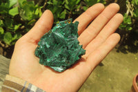 Natural Silky Malachite Specimens x 12 From Kasompe, Congo