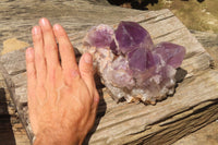 Natural Jacaranda Amethyst Quartz Clusters x 2 from Mumbwa, Zambia