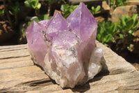 Natural Jacaranda Amethyst Quartz Clusters x 2 from Mumbwa, Zambia