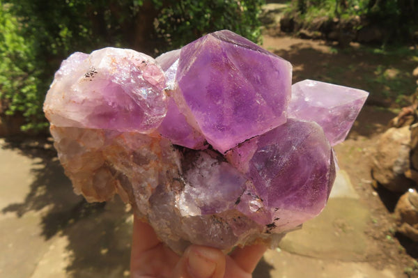 Natural Jacaranda Amethyst Quartz Clusters x 2 from Mumbwa, Zambia