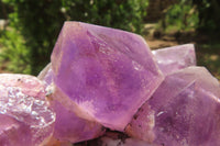 Natural Jacaranda Amethyst Quartz Clusters x 2 from Mumbwa, Zambia