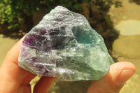 Natural Watermelon Fluorite Cobbed Specimens x 6 From Uis, Namibia