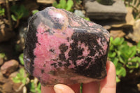 Polished On One Side Rhodonite Nodules x 5 From Madagascar