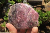 Polished On One Side Rhodonite Nodules x 5 From Madagascar