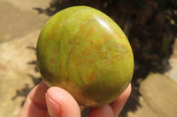 Polished Green Opal Palm Stones x 24 From Madagascar