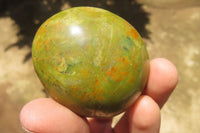 Polished Green Opal Palm Stones x 24 From Madagascar