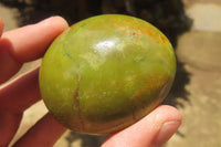 Polished Green Opal Palm Stones x 24 From Madagascar