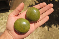 Polished Green Opal Palm Stones x 24 From Madagascar