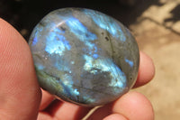 Polished Labradorite Palm Stones x 20 From Tulear, Madagascar