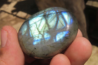 Polished Labradorite Palm Stones x 20 From Tulear, Madagascar