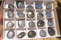 Polished Labradorite Palm Stones x 20 From Tulear, Madagascar