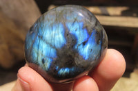 Polished Labradorite Palm Stones x 20 From Tulear, Madagascar