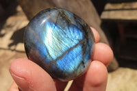 Polished Labradorite Palm Stones x 20 From Tulear, Madagascar