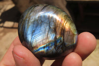 Polished Labradorite Palm Stones x 20 From Tulear, Madagascar