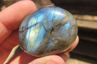 Polished Labradorite Palm Stones x 20 From Tulear, Madagascar