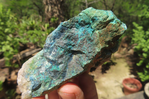 Natural Shattuckite with Chrysocolla & Malachite Specimens x 12 from Kaokoveld Namibia