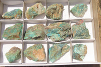 Natural Shattuckite with Chrysocolla & Malachite Specimens x 12 from Kaokoveld Namibia