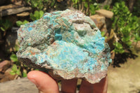 Natural Shattuckite with Chrysocolla & Malachite Specimens x 12 from Kaokoveld Namibia