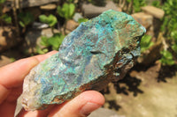 Natural Shattuckite with Chrysocolla & Malachite Specimens x 12 from Kaokoveld Namibia