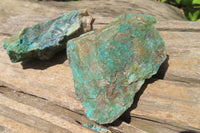 Natural Shattuckite with Chrysocolla & Malachite Specimens x 12 from Kaokoveld Namibia